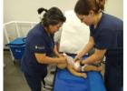 ACLS Classes Near Me in Augusta
