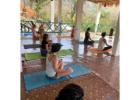 Transform Your Life with Professional Yoga Teacher Training
