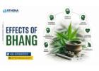 Effects of Bhang: Know the Risks & Get Help in Time Today