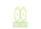 Same Day Flower Delivery Flemington - Living Flowers