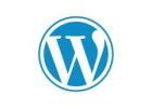 Invoidea is a Custom WordPress Development Company Delivering Scalable Web Solutions