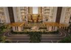4 bhk Apartment For Sale In Gurgaon | TARC