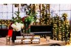 Event DJ Services Napa County