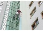 Best Window Cleaning Services Near You – Affordable & Professional Care