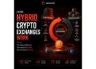 The Future of Crypto Trading Starts with Hybrid Exchanges