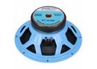 12 Inch DJ Ferrite Speaker for Clear and Powerful Sound Performance