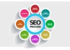 SEO Service Provider India