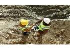 Advanced Workplace Safety Consultancy Services by Impress Solutions
