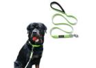 Dog Collars and Leashes by Waggety for Daily Use