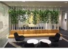 Indoor Office Plant Melbourne – Stylish Greenery for Every Workspace