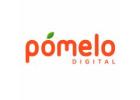 Digital Branding & Performance Marketing Agency in Gurgaon | Pomelo Digital
