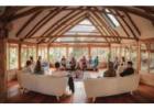 Transform Your Life | Authentic Miami Ayahuasca Retreats