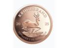 1 oz Gold Coins | Reliable Investment Opportunity - IBV Gold