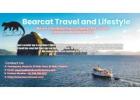 Bearcat Travel and Lifestyle - Townsquare