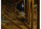Attic Insulation Solutions That Stop Heat Loss at the Source