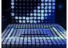 Captivating Kinetic Showcases Redefining Dubai Spaces