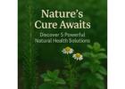 Heal Naturally: The 5 Best Health Solutions for 2025