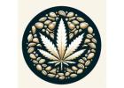 White Widow and Fibromyalgia Management: A Natural Approach to Relief