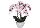 Create a Fresh Look with Artificial Trees and Fake Plants Brisbane