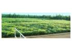 Innovative Environmental Wetland Solutions Canada
