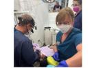 Top-Rated Dentist Services in Oakville