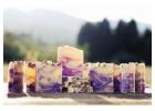 Best Soap Colors for Melt and Pour & Cold Process