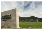 Monument vs. Pylon Signs: Discover the Best Fit for Your Business