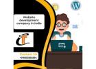 Professional Website Development Company in India – Converthink Solution