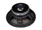 Rugged Sound Power with 15-Inch Ferrite DJ Speaker