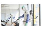Best Pest Control in Okhla - 100% Safe & Effective