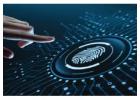 Supply Chain Finance Software