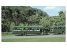 Bus Accident Attorney Chicago