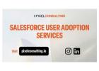 Salesforce user Adoption