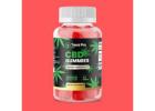 Terra Pro CBD Gummies