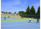 Bay Team Tennis Academy – Elite Coaching and Community for Aspiring Players