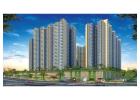 VTP Flamante Price, A New Benchmark for Luxury Living