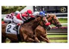 Test Your Racing Skills in Free Handicapping Contests