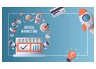 Increase Brand Trust with the Best Digital Marketing Agency in Jalandhar