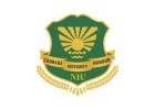 Best Private Engineering Colleges in India – Discover NIU’s Edge