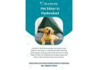 Pet Sitter in Hyderabad