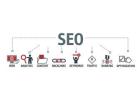 Effective SEO Strategies for Local Businesses in Macon, GA | Digital SEO Pros