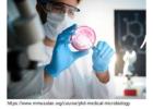 Medical microbiology phd programs
