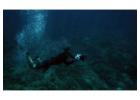 Best Diving Experience in Mallorca