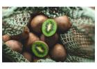 Bay of Plenty Leading Kiwifruit Orchard Management Experts