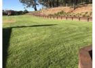 Semms Property Services Offers Professional Lawn Mowing Solutions in Moss Vale