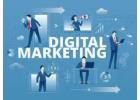 Best Digital Marketing Agency in Delhi for Data-Driven Campaign Success