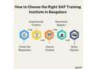 How to Pick the Best SAP Training in Bangalore - Ed11