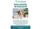 Dog Hostel in Kolkata