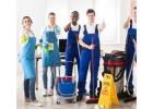 rug cleaning Services Adelaide