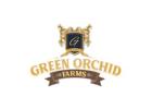 Best Farmhouse in Gurgaon for Party – Green Orchid Farmhouse